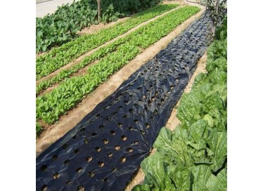 Mulching Film 25 Micron 1000 mm
