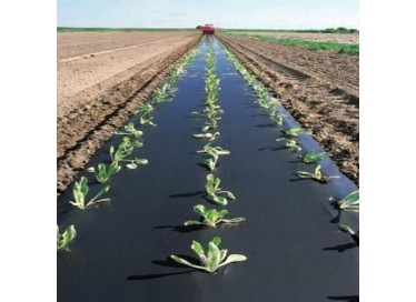 picknpack mulching film at lowest price