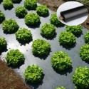 Mulching Film 29 Micron 1200 mm