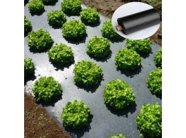 mulching paper at picknpack