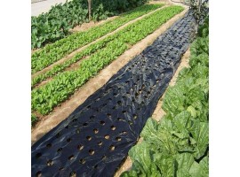 Mulching Film 25 Micron 1000 mm